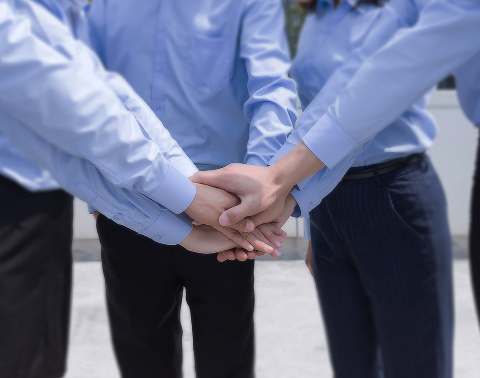 专业工程技术团队