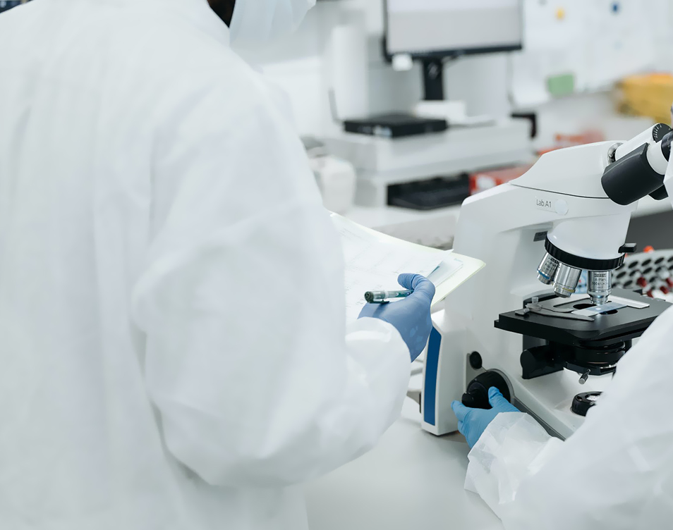 提供生产工艺的设计和优化方案